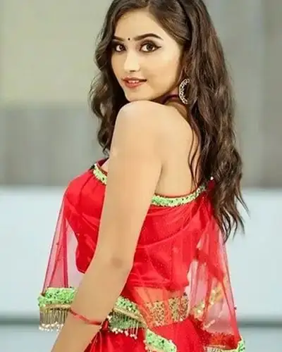 Call Girls Service Nagina